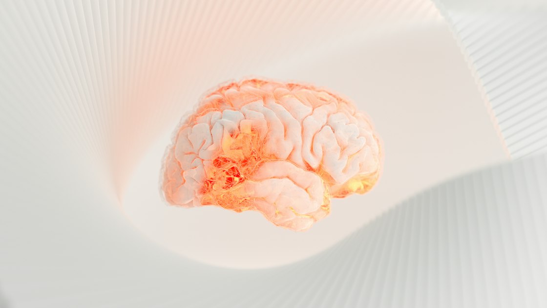 Harnessing Neural Algorithms in Design